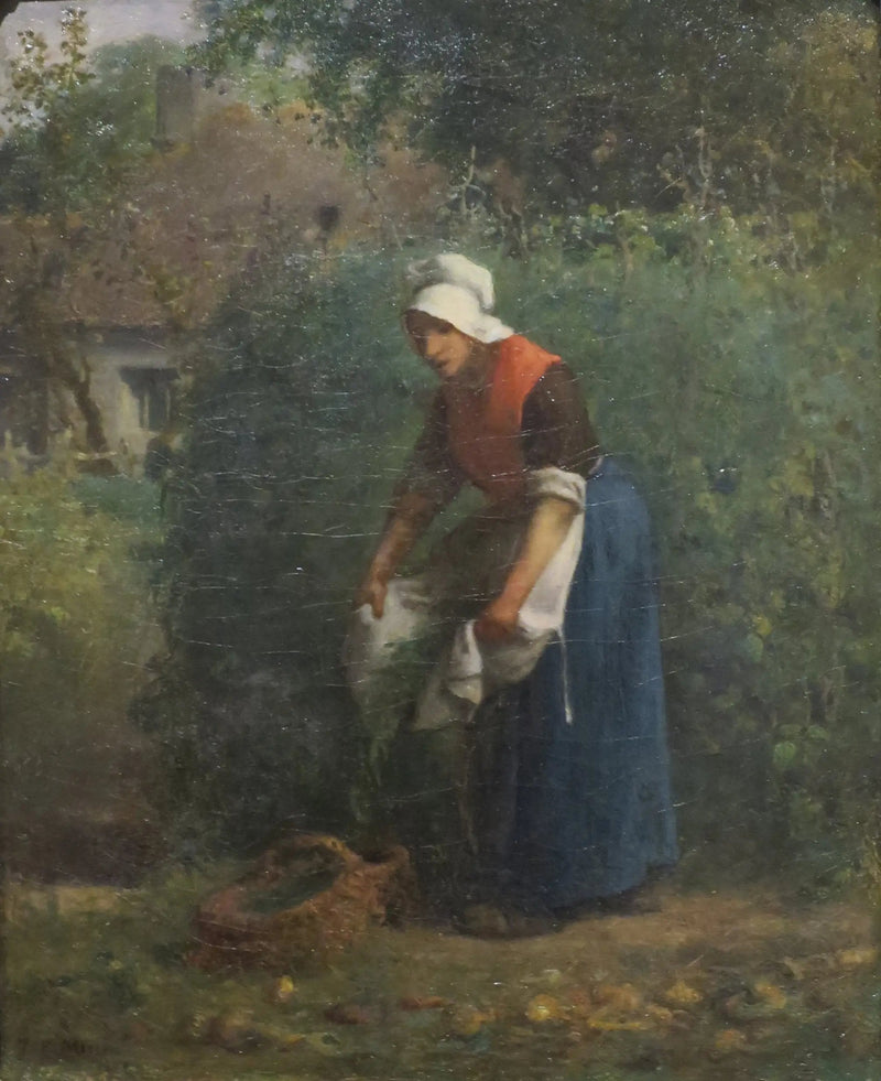La Raccolta dei fagioli - Jean-François Millet