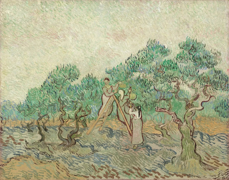 La Raccolta delle olive - Vincent van Gogh