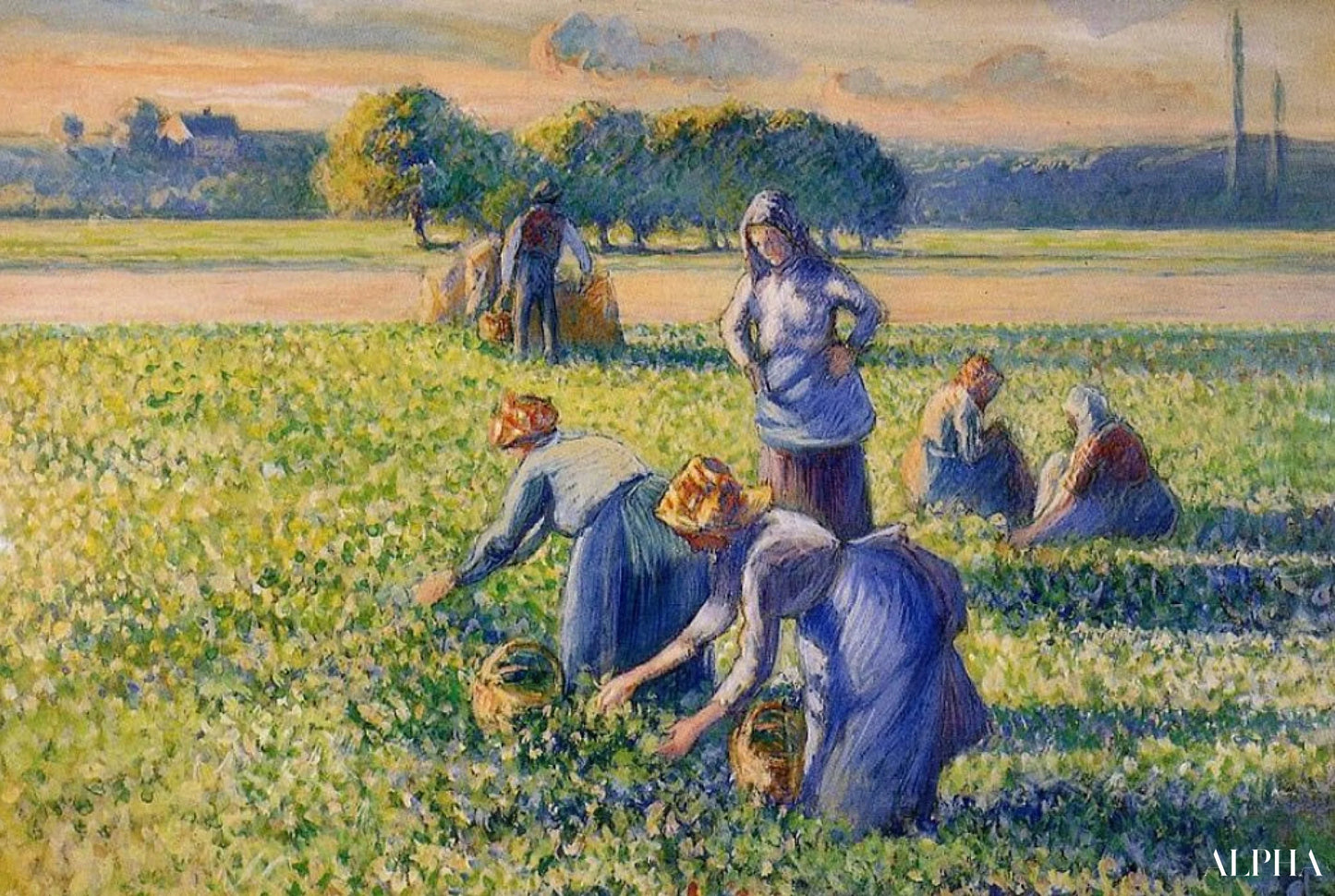 La Cueillette des pois - Camille Pissarro - Reproductions de tableaux et peintures haut de gamme