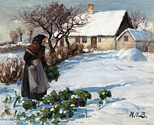 La donna di un contadino che raccoglie cavoli nel giardino in inverno. - H. A. Brendekilde