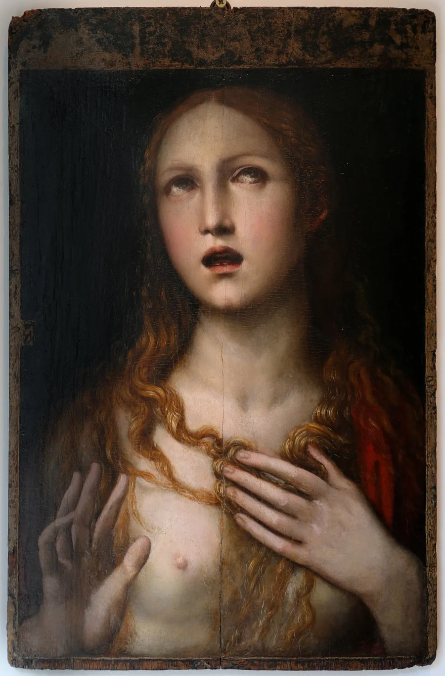 Il Sodoma (Giovanni Antonio Bazzi)