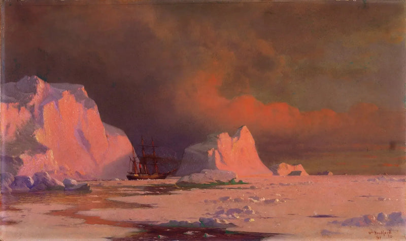 La « Pantera » nella baia di Melville - William Bradford