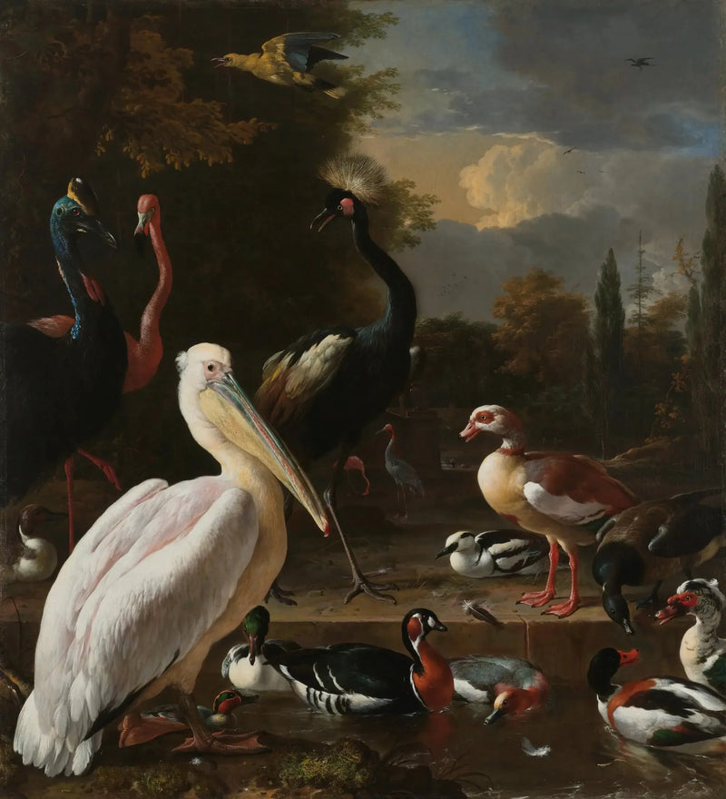 La piuma fluttuante - Melchior de Hondecoeter