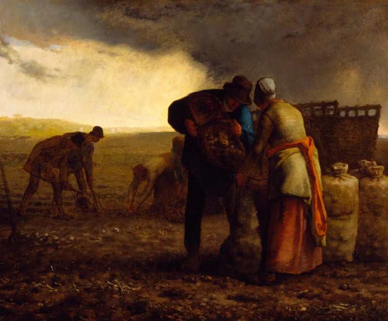 La Raccolta delle patate - Jean-François Millet
