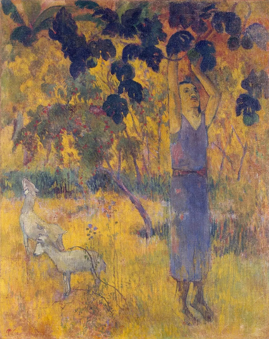 La raccolta, o Uomo che raccoglie frutti - Paul Gauguin