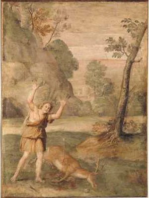 La trasformazione di Cyparissus - Domenichino
