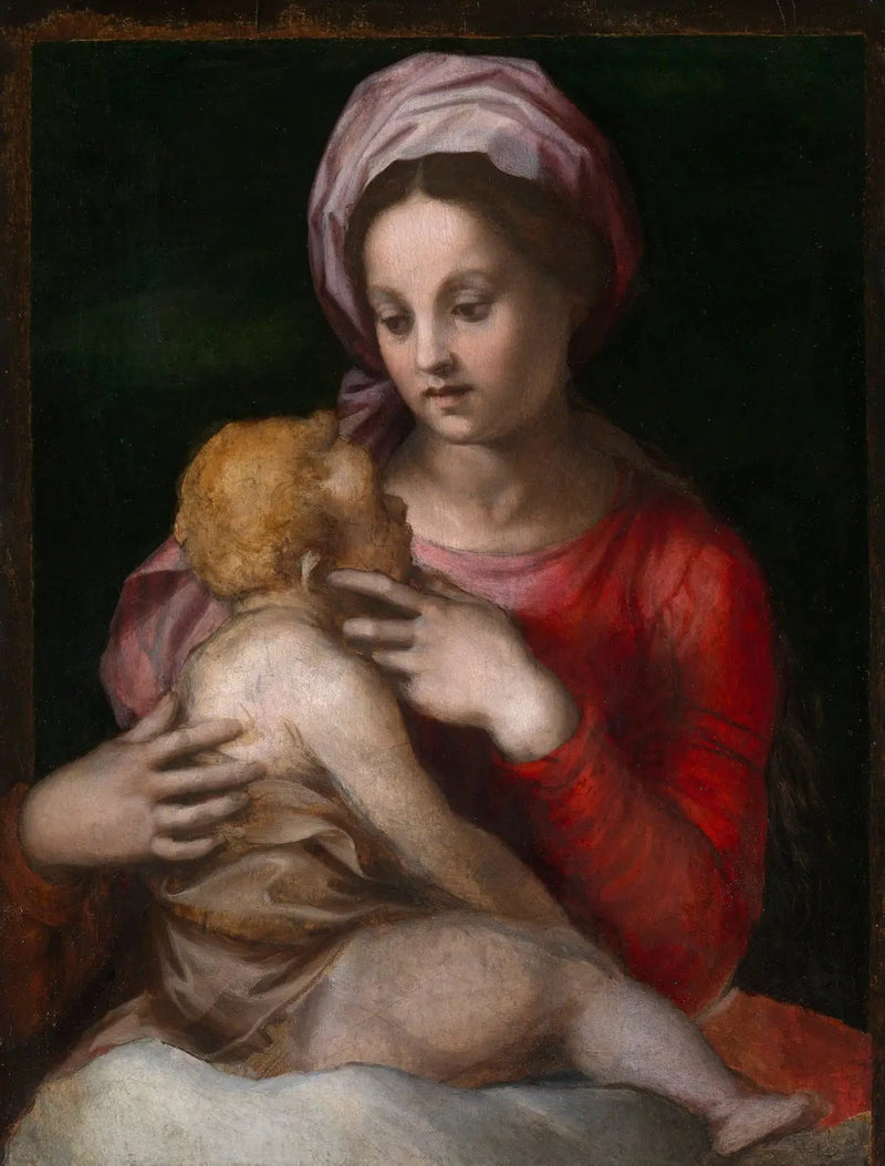 La Vergine con il Bambino - Andrea del Sarto