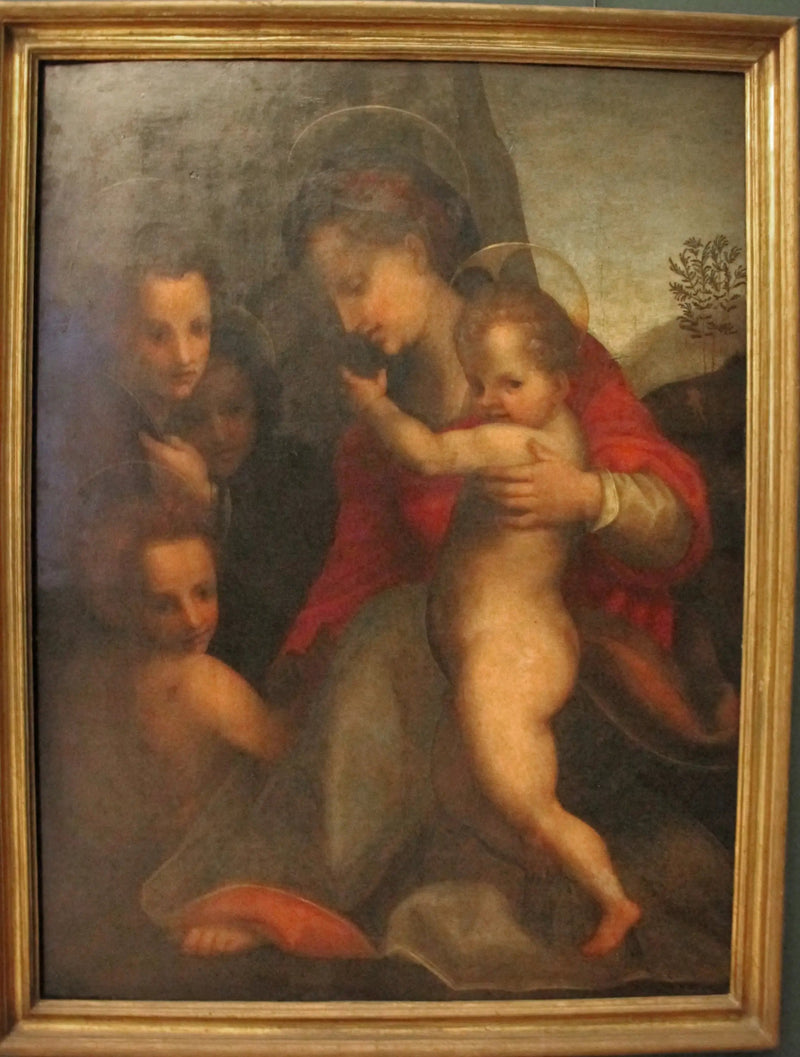 La Vergine con il Bambino e il Bambino San Giovanni e angeli - Andrea del Sarto
