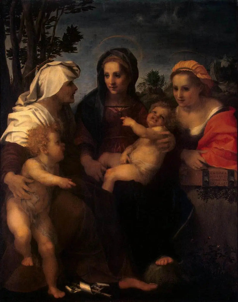 La Vergine con il Bambino con santa Caterina, santa Elisabetta e san Giovanni Battista - Andrea del Sarto