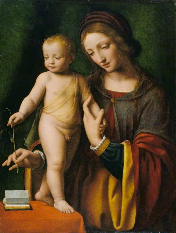 La Vergine con il Bambino con una ancolia - Bernardino Luini
