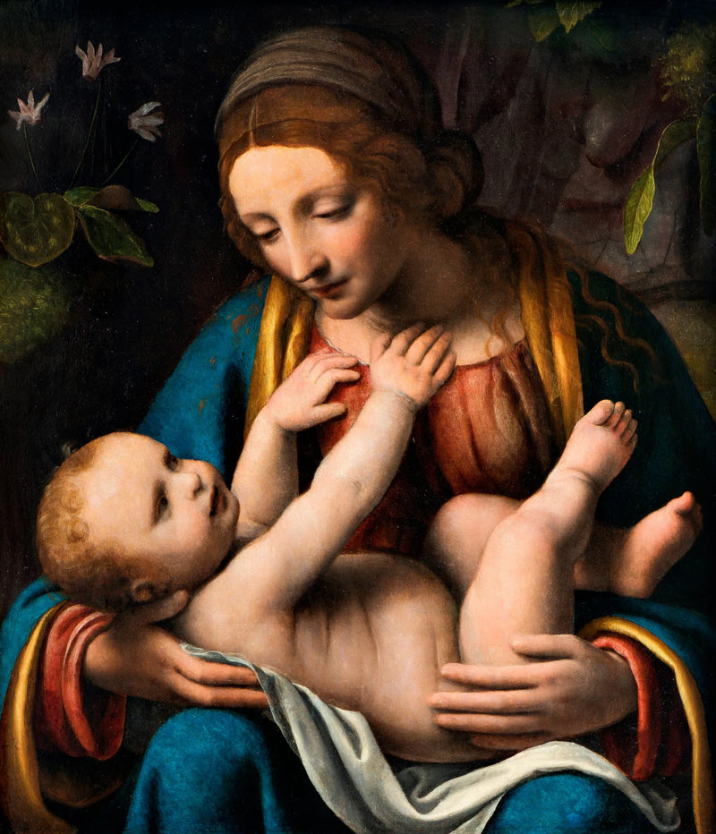 La Vergine con il Bambino - Bernardino Luini