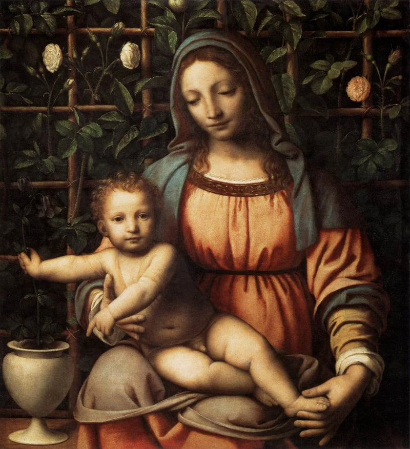 La Vergine alla rosaia - Bernardino Luini
