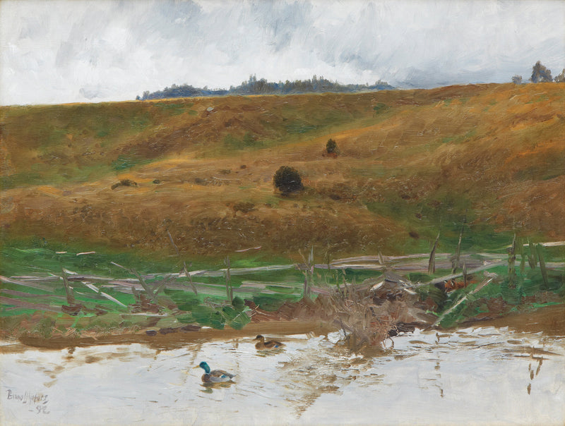 Lago con anatre - Bruno Liljefors