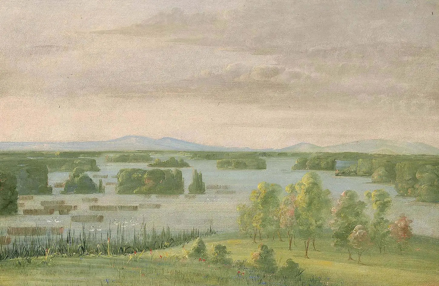 Lac du Cygne (Lac des Cygnes) Près du Coteau des Prairies - George Catlin - Alpha Reproduction