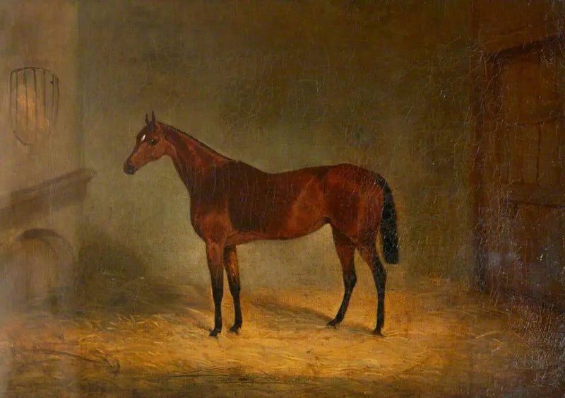 « Lady Liverpool », un cavallo baio in una scuderia - John Frederick Herring, Sr.