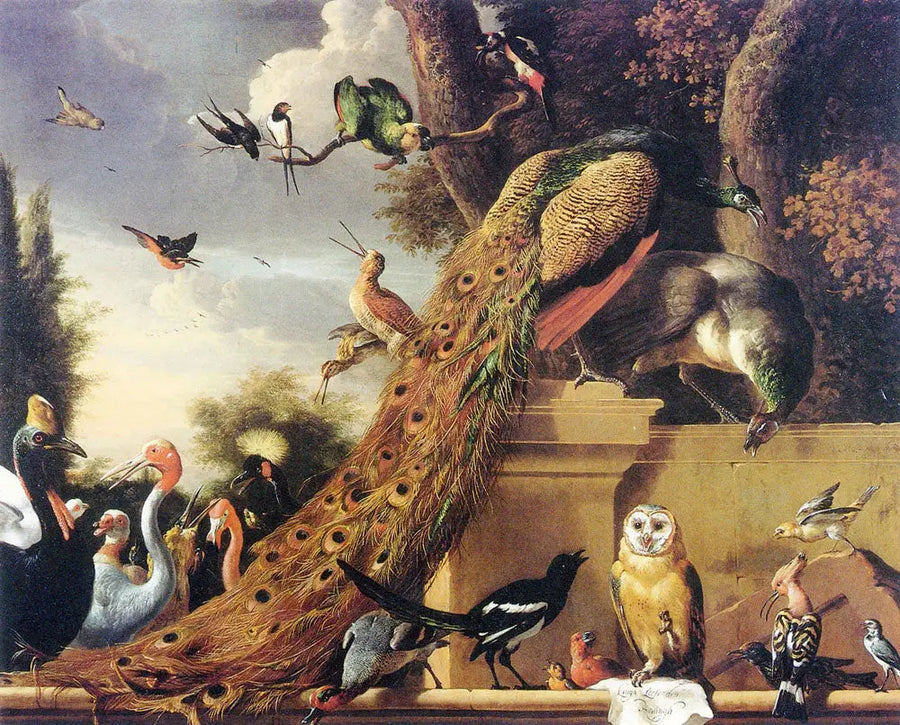 Langh ha lasciato Den Koningh, ou le concert des oiseaux - Melchior de Hondecoeter