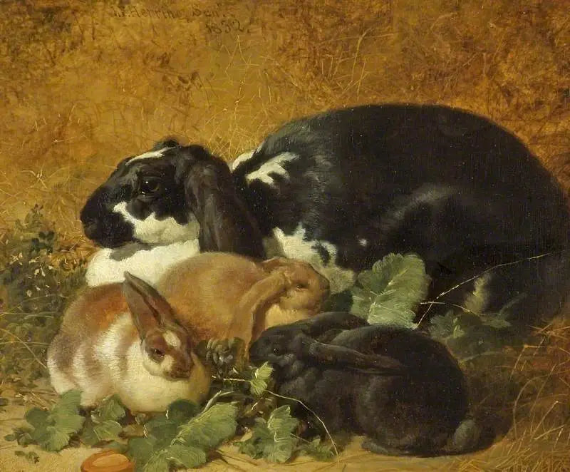 Conigli - John Frederick Herring, Sr.