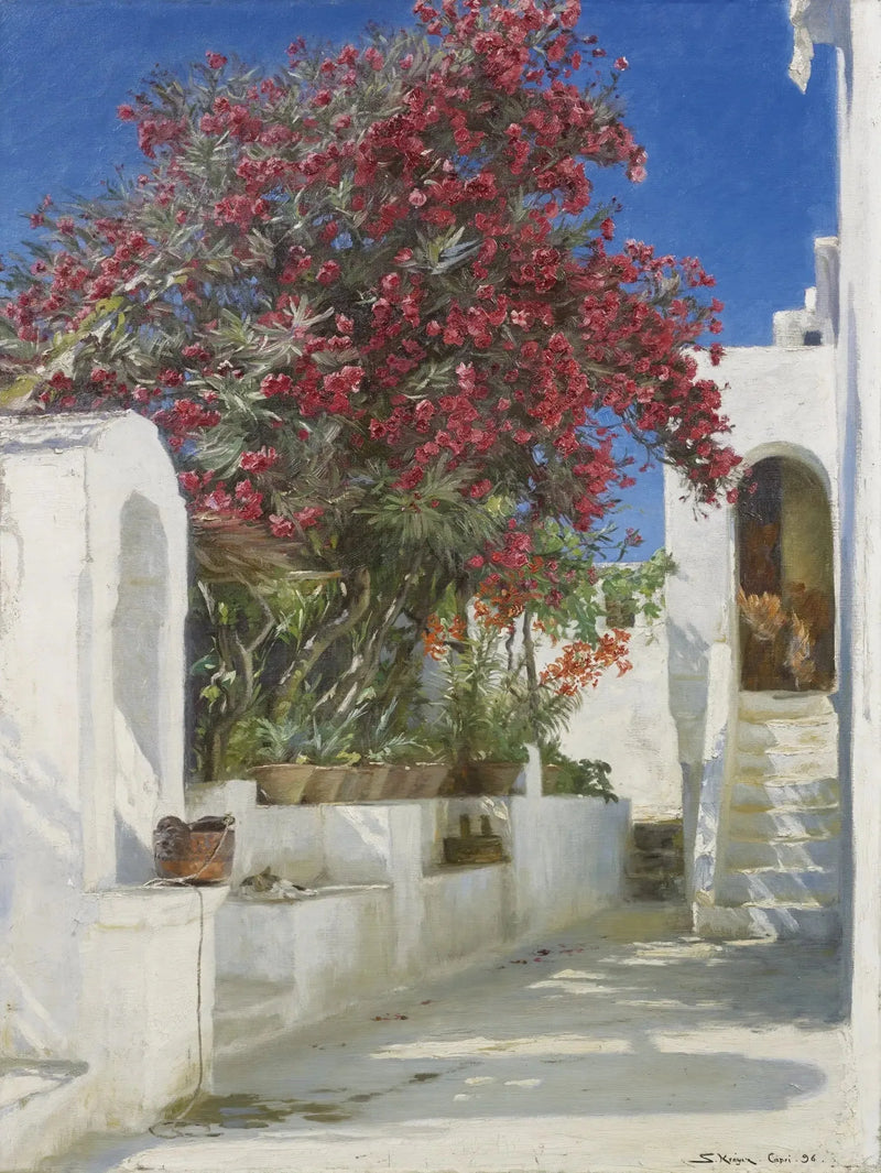 Lauree rosa in fiore, Capri - Peder Severin Krøyer