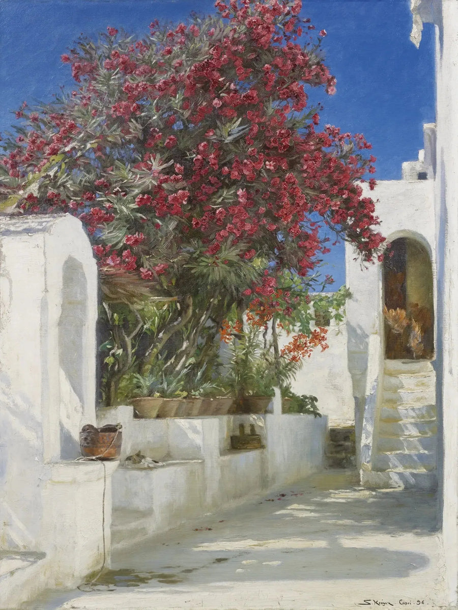 Lauree rosa in fiore, Capri - Peder Severin Krøyer