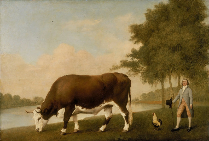 Il bue del Lincolnshire - George Stubbs