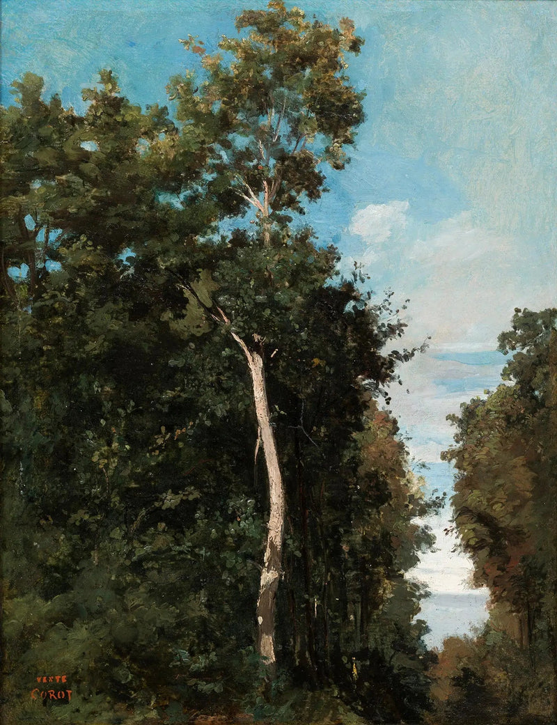 Il legno sulla costa di Grâce a Honfleur - Jean-Baptiste Camille Corot