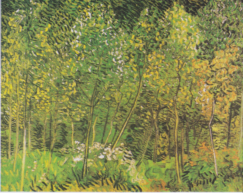 Il Boschetto - Vincent van Gogh