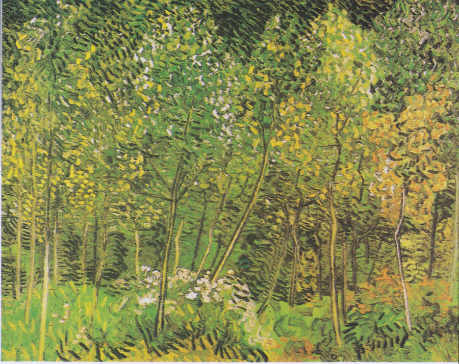 Il Boschetto - Vincent van Gogh