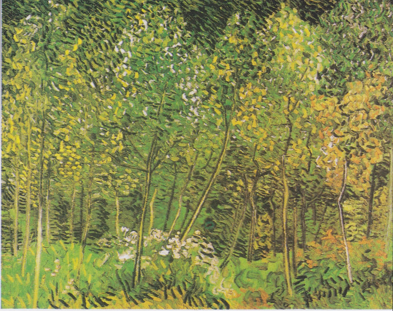 Il Boschetto - Vincent van Gogh