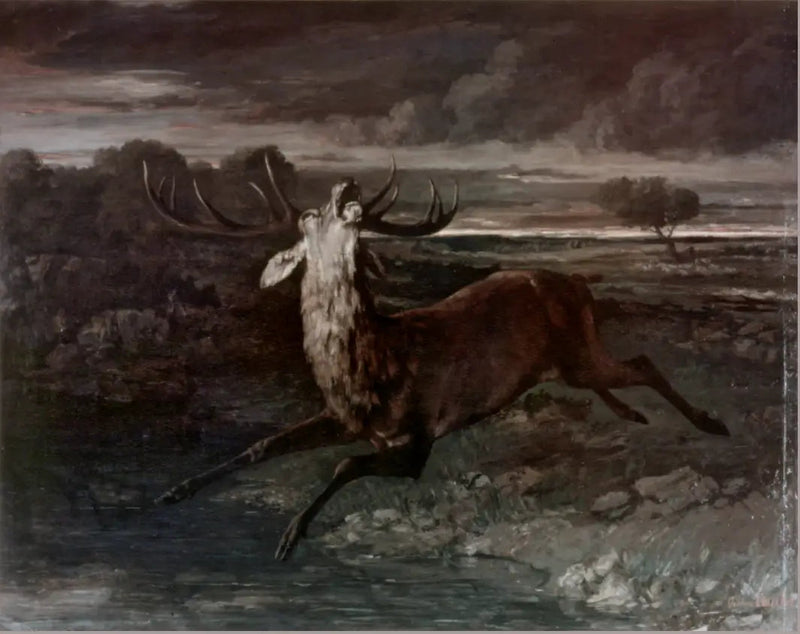 Il cervo nell'acqua - Gustave Courbet