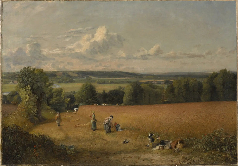Il campo di grano - John Constable