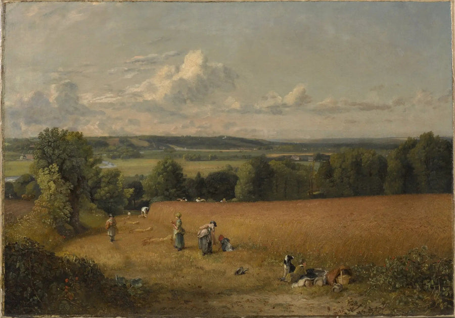 Il campo di grano - John Constable
