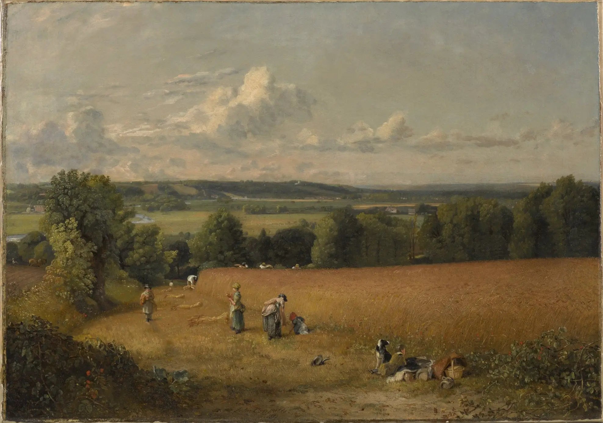 Le champ de blé - John Constable - Alpha Reproduction
