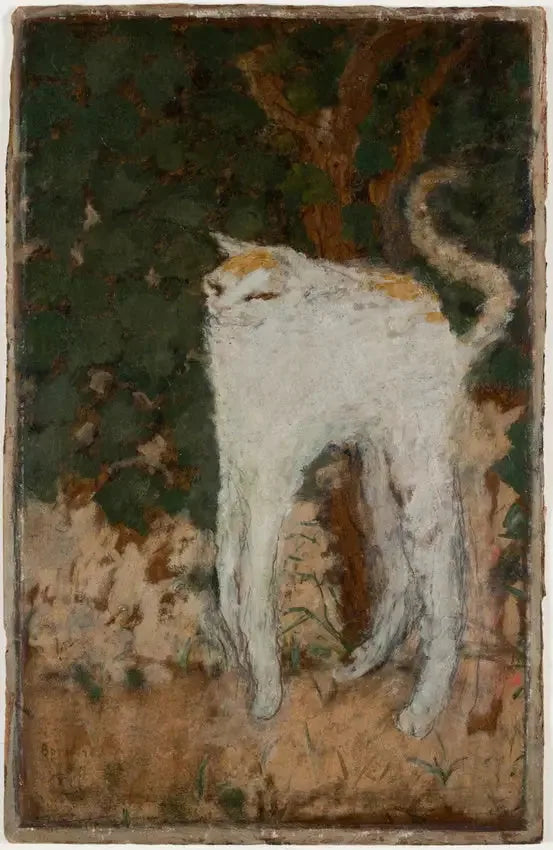 Il Gatto bianco - Pierre Bonnard