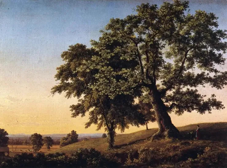 Il Quercia della Carta - Frederic Edwin Church