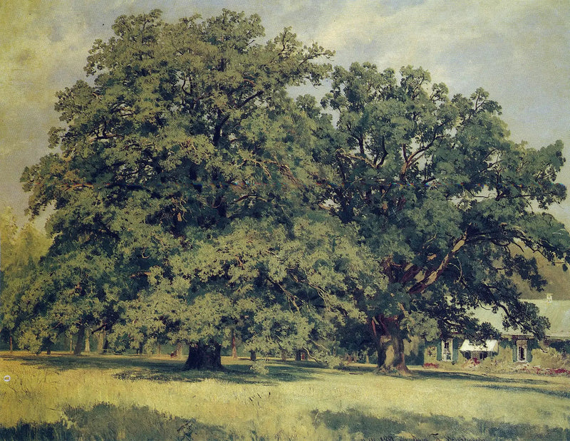 Il quercia di Mordvinovo - Ivan Chichkine