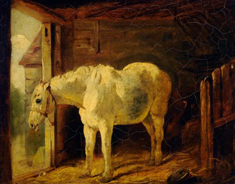 Il cavallo bianco - John Frederick Herring, Sr.
