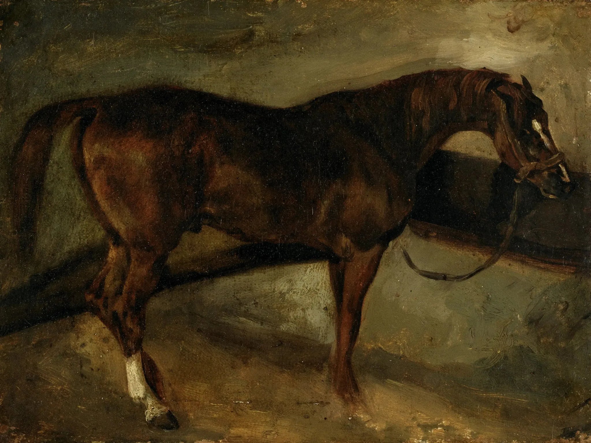 Le Cheval brun - Théodore Géricault image 1 reproduction d’œuvre d’art à l’huile