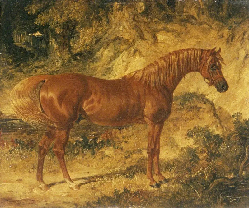 Il cavallo da corsa « Actéon » - John Frederick Herring, Sr.