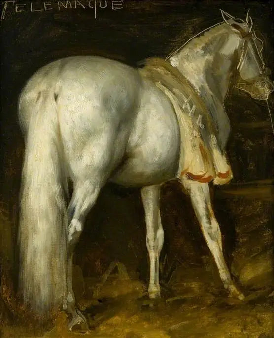 Il cavallo grigio « Télémaque » - Théodore Géricault