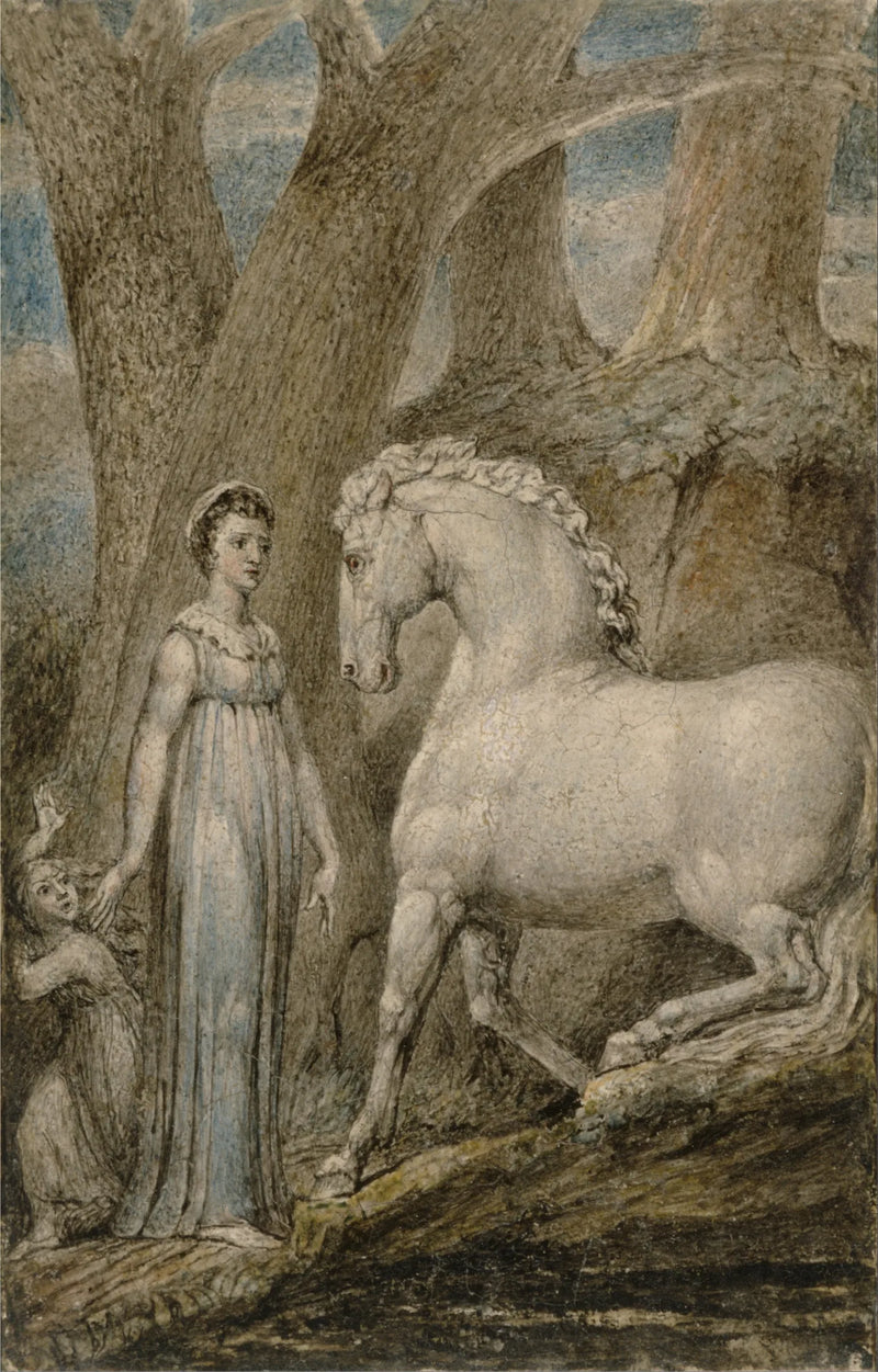 Il cavallo - William Blake