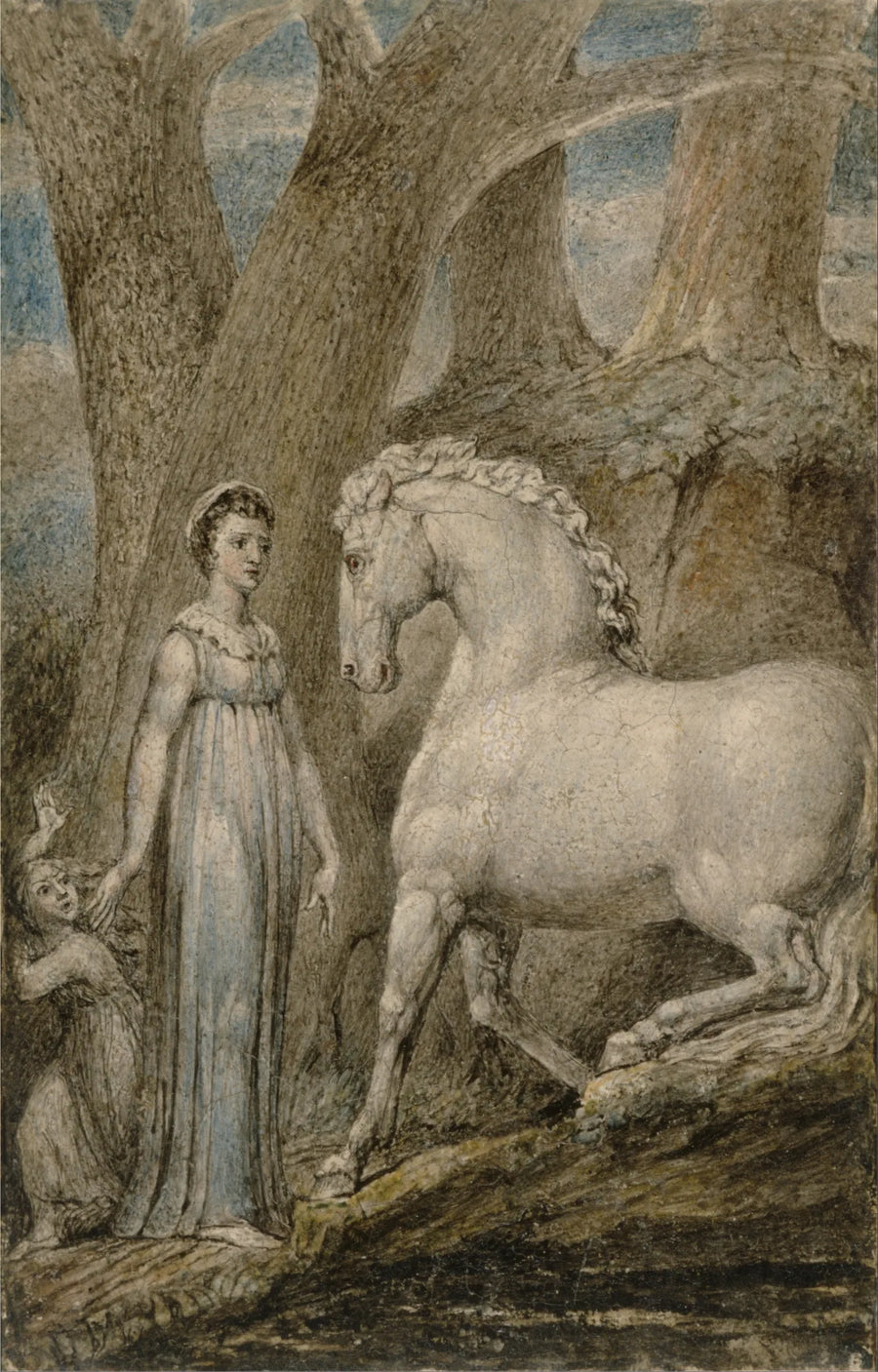 Il cavallo - William Blake