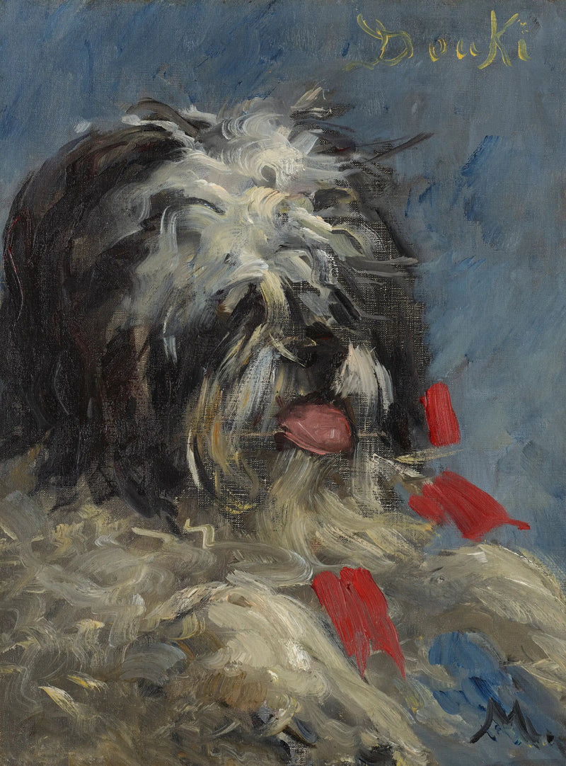 Il cane 'Donki' - Édouard Manet