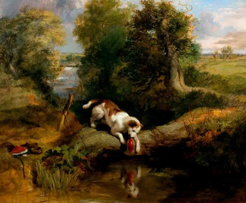 Il cane e l'ombra - Edwin Henry Landseer