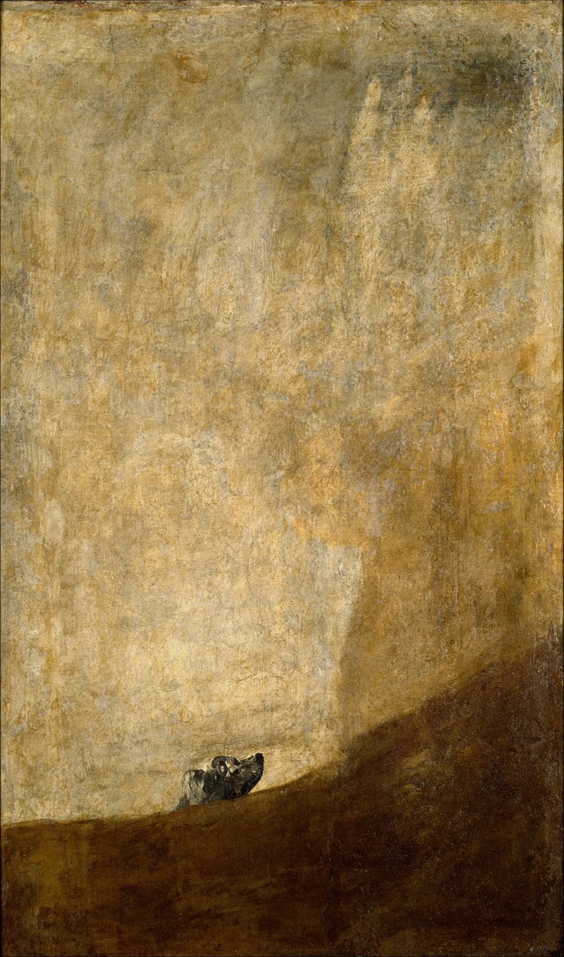 Il Cane - Francisco de Goya