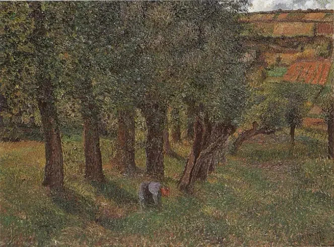 Il Cavolo a Pontoise - Camille Pissarro