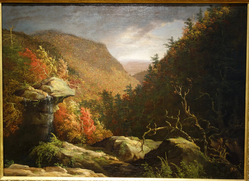 Il chiodo di garofano, Catskills - Thomas Cole