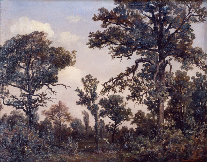 La grande quercia, foresta di Fontainebleau - Théodore Rousseau