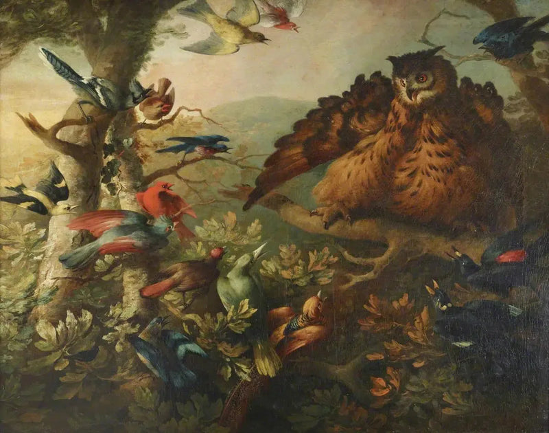 Il bullismo di un gufo comune da parte di altri uccelli - Tobias Stranover