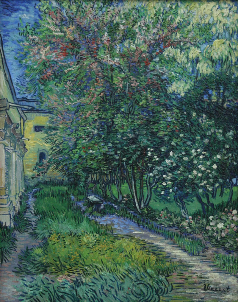 Il giardino dell'ospedale psichiatrico di Saint-Rémy - Vincent van Gogh
