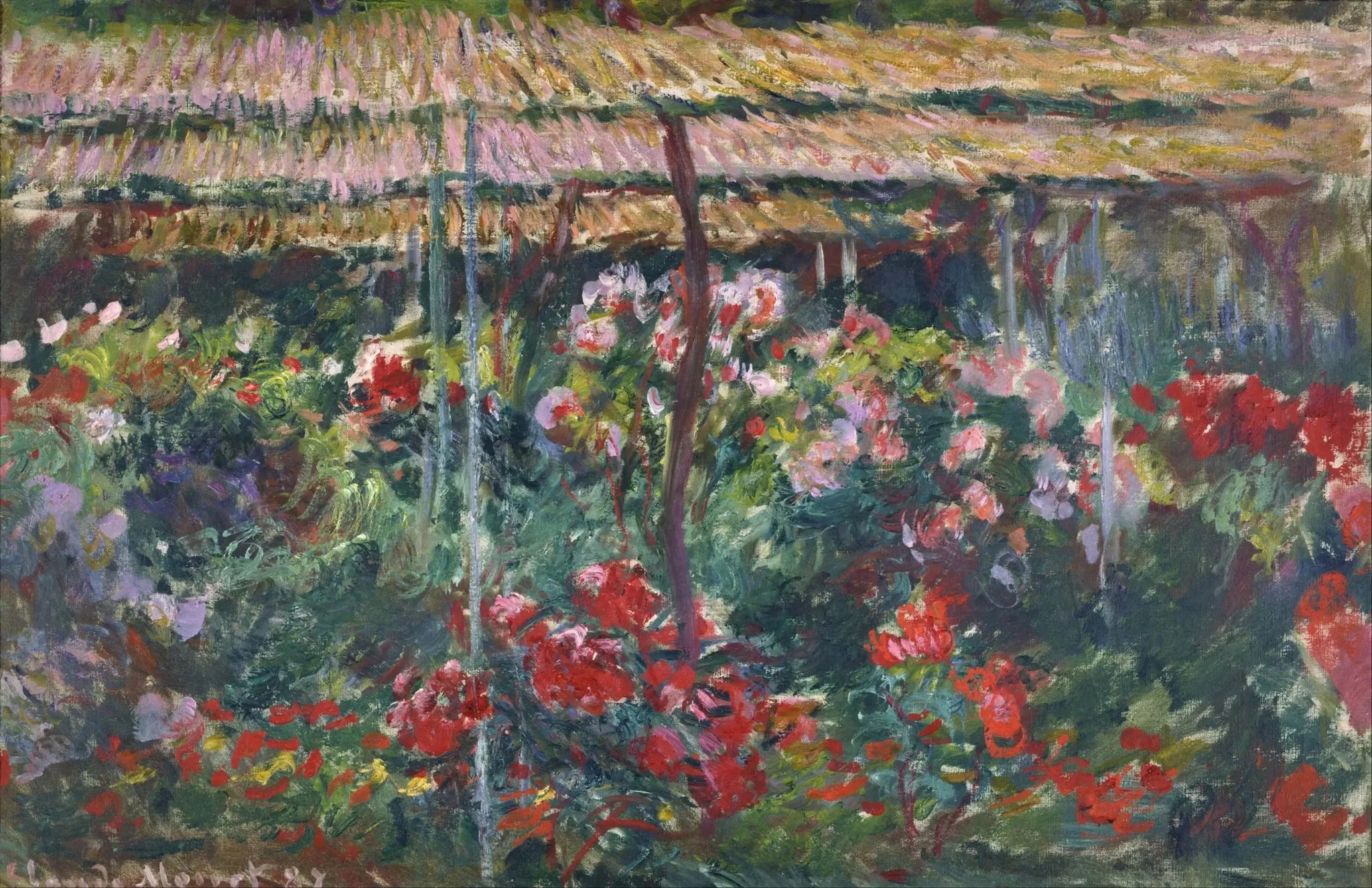 Le jardin de la peony - Claude Monet image 1 tableau peint à l’huile sur toile
